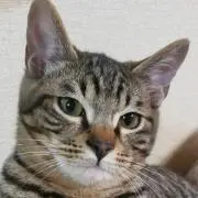 JUN