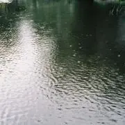 ukiの画像