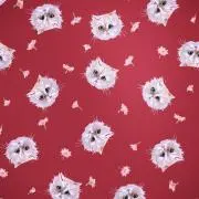 ⭐︎らん⭐︎