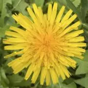 あ