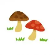 きのこの画像