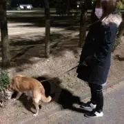 ピンポンの画像