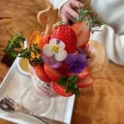ささだんごちゃんの画像