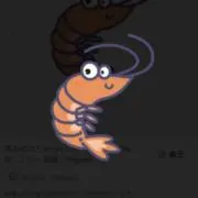 SUNの画像