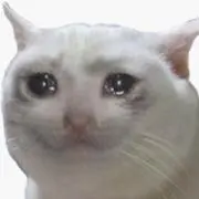 バスの画像