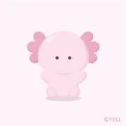 Pepeの画像