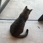 MJ(プロフ必読)の画像
