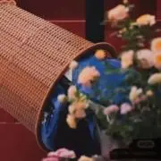 あんせいの画像