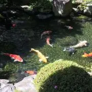 てっど