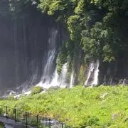 あおりんごの画像