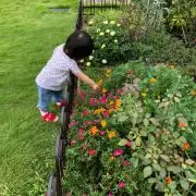 しのの画像