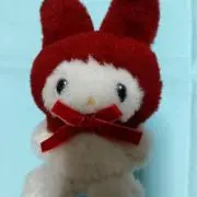 デイジーの画像