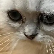 ♥︎♥︎ℝ﻿♥︎♥︎の画像