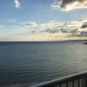 MS..の画像