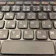 のこのこ