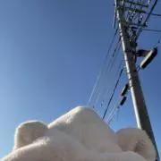まおの画像