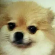 ナナ