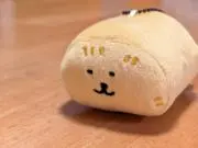 kotaroの画像