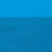 aoの画像