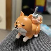 KAZUの画像