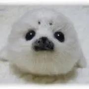 ごまちゃん（プロフ必読）の画像