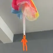 ぴいの画像