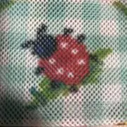 断捨継続中の画像