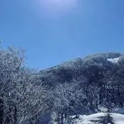 あらちゃん