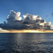 Anjeroの画像