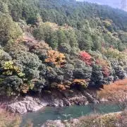 Izumiの画像