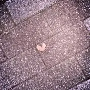 UMの画像
