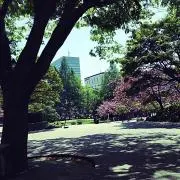 アケビ