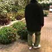 syの画像
