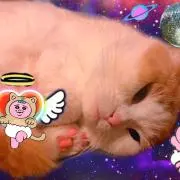 なおこ
