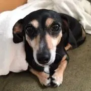 ベン