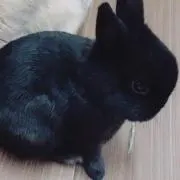 ☆