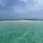 Dの画像
