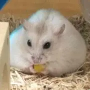 naminamiの画像