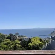 カワウソ商会