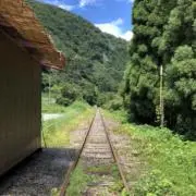 ココアの画像