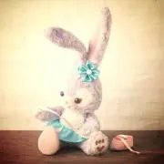 Stella☆彡の画像