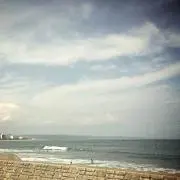 Momoの画像