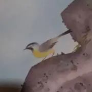 Yukiの画像