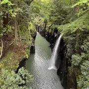福来の画像