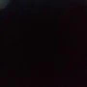 魚