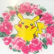 PKの画像