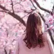 きんももの画像