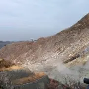 yuyu