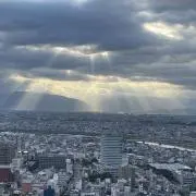 Dの画像