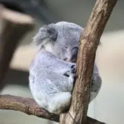 ⭐︎購入前に必ずコメントをください！の画像